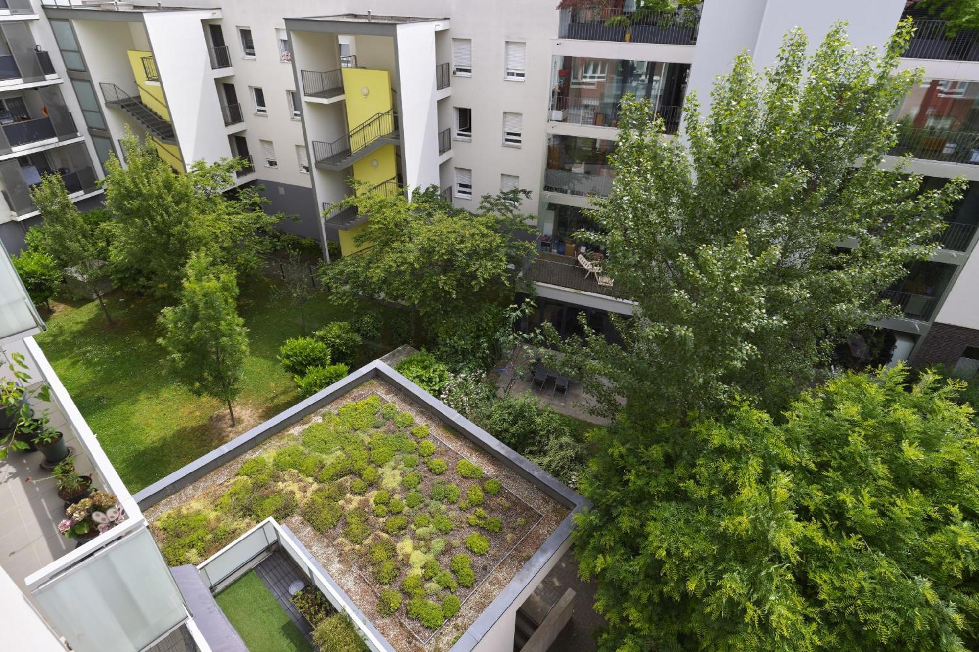 Appartement Dans Les Etoiles - 2 Bedroom With Free Parking Near To The Center Straatsburg